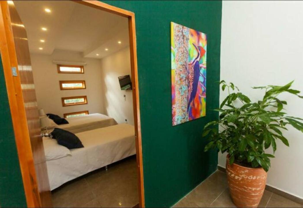 Albore Hostal Pereira Kültér fotó